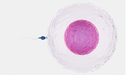 �ΰ�����