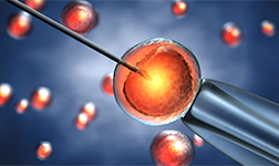 ������Ʊ�ü�